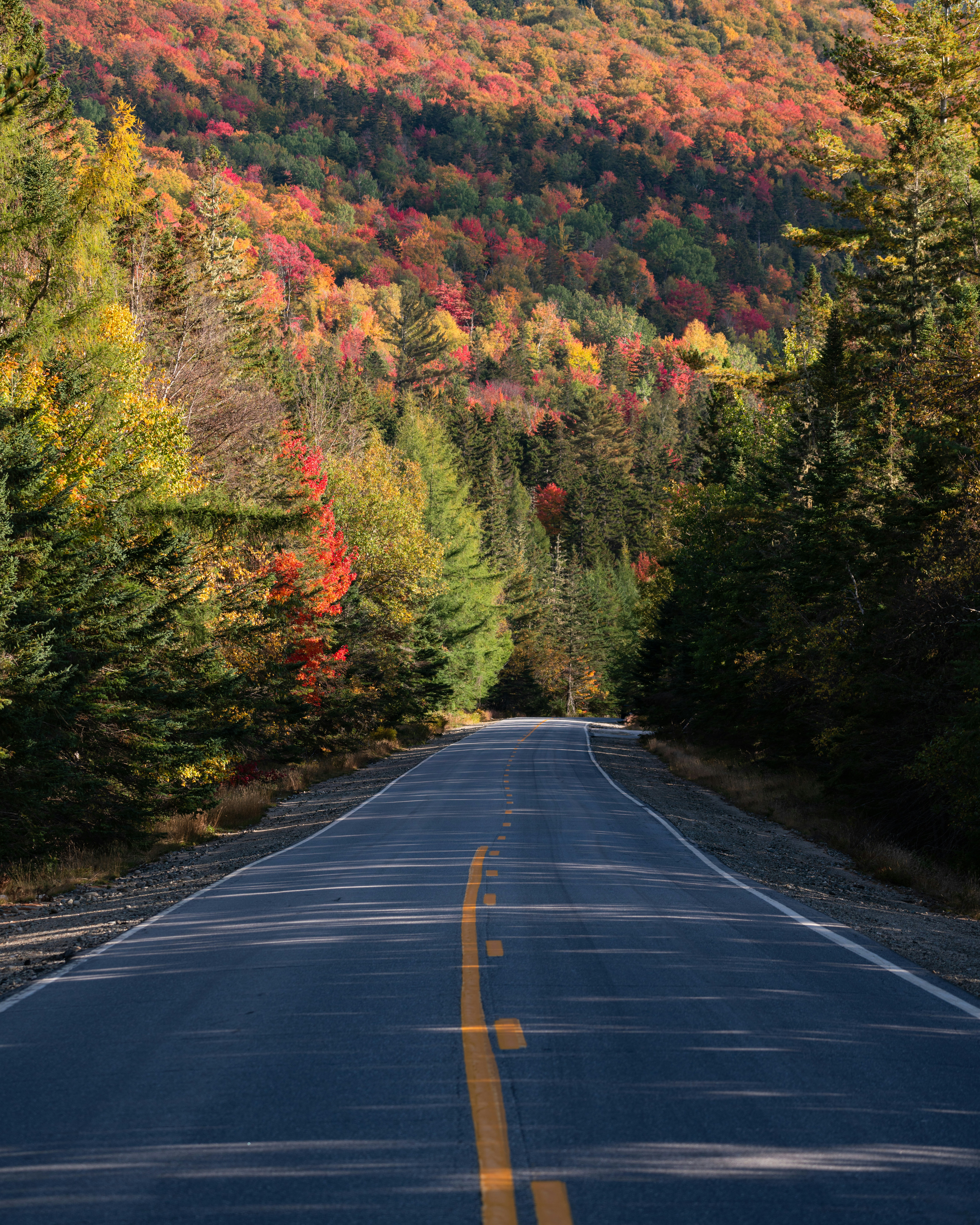 new england fall foliage road hero.jpg