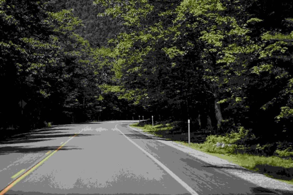 Coastal road through pine trees on the drive from Portsmouth NH to Ogunquit Maine in summer